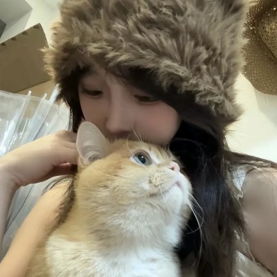 兔子和公牛